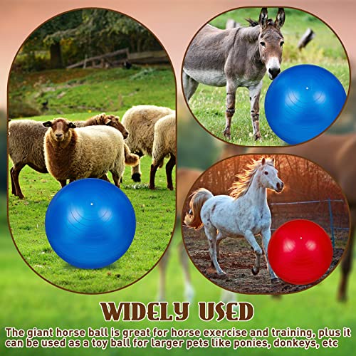 Sotiff 2 Pcs 40 Inch Horse Ball for Play Large Horse Big Equine Herding Anti Burst Dog Ball Soccer Giant, Pump Included(40 Inch,Blue and Red) - color: Blue and Red