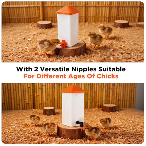 Eggluuz 1L Baby Chick Waterer with 2 Chicks Nipple Drinker and Anti-Roost Cone