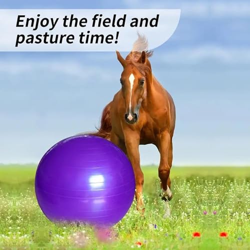 2pcs Horse Toy Balls with Inflation Pump, Suitable for Outdoor Entertainment, Training Balls for Horses and Goats (45cm/17.71inch) - size: 45cm/17.71inch