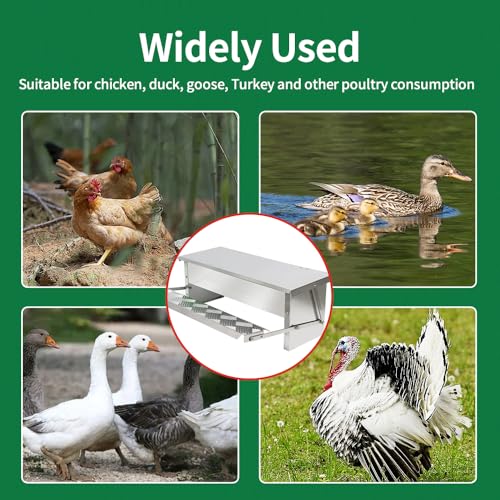 MODUODUO Automatic Chicken Feeder Treadle Poultry Feeders 11lb/5kg Feeding Trough for Chickens, Pheasants, or Roosters