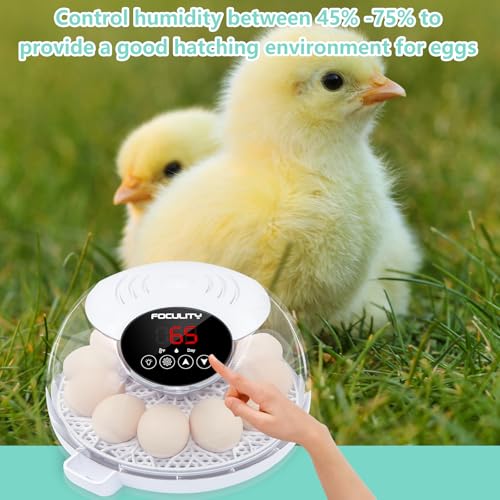 Egg Incubator for Hatching Chicks, Holds 12 Eggs, Automatic Egg Turner with Temperature, Humidity Display, Egg Candler, Automatic Egg Turner, 360 Degree View with Clear Window