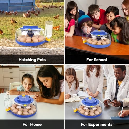 18 Egg Incubator, for Hatching Eggs with Automatic Egg Turner, Temperature & Humidity Control, Built-in Egg Candler, Ventilation, Incubation Days Display, for Chicken, Duck, Goose and Quail Eggs