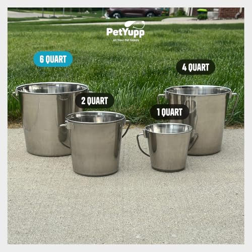 1.5 Gallon Heavy Duty Stainless Steel Bucket - Rust-Resistant Metal Bucket for Feeding & Watering Pets, Livestock & Cleaning - Perfect for Crates, Kennels, Cages & Hang on Fences - 6 Quart - size: 6 Quarts
