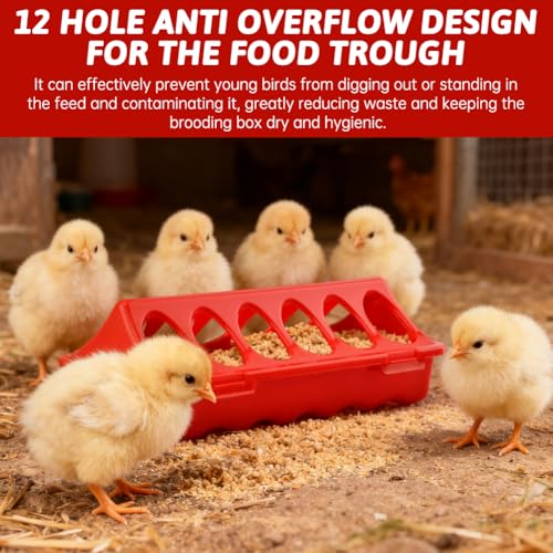 4pcs Chick Feeder and Waterer Kit Baby Chick Starter Kit with 12 Feeding Hole Baby Poultry Starter for Small Poultry Ducks Quail(Color:red)