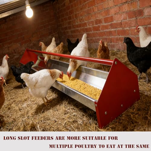 Chicken Feeding Trough,Chicken Feeder,45" Heavy Duty Galvanized Steel Feeder with Drainage Holes & Crossbar,Suitable for Poultry Feeder Trough for Chicken, Duck, Geese, Turkey (1 Piece)