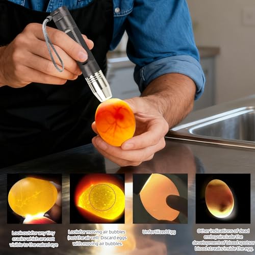 Egg Candlers for Chicken Eggs, 2026 New Egg Candling Light Tester Lamp Egg Checker Incubator for All Chickens Ducks Quail Dark Eggs 【Upgraded USB Charger】 (Grey) - color: Gray