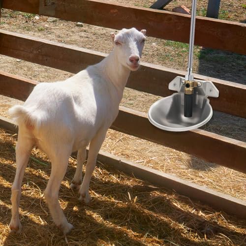 Stainless Steel Automatic Goat Waterer Livestock Sheep Water Bowl with Copper Valve and Drain Hole, Automatic Drinking Trough for Goat Sheep Calf Pig Dog (2pcs)