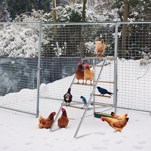 Chicken Perch Swing with Ladder for Coop,Metal Frame Chicken Roosting Bars,Pet Swing Set for Backyard Poultry Farm Roost Chicken