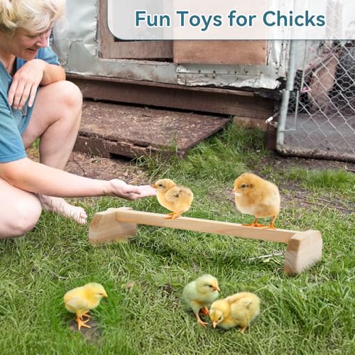 PETSFIT Chick Roosting Bar Prevent Rotation Design, Solid Wooden Thicken Rooster Perch for Coop and Brooder for Birds, Baby Chicks