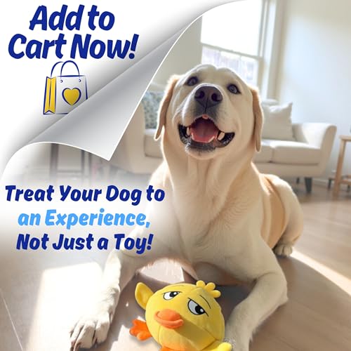 Ducky 3 in 1 Plush Duck Dog Chew Toy with Squeaky Ball Inside for Aggressive Chewers, Super Interactive, No Stuffing, Strong Tough Heavy Durable, Birthday Gift Box for Small & Large Breeds - color: Yellow