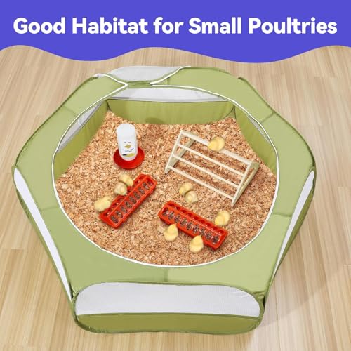 Pawaboo Chick Brooder Box for Chick Starter Kit, Brooder Pen/Chicken Supplies Brooders Box with Chicks Perch Brooding Up to 15 Chicks, Duck and Quail, Green + Red + Wood Color - color: Z-Green + Red + Wood Color