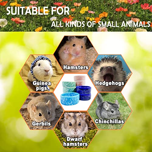 kathson 2 Pcs Hamster Food Bowl Guinea Pig Ceramic Water Bowl Small Animal Feeding Dish for Dwarf Hamster Gerbil Syrian Ferret Hedgehog Chinchilla Bunny (Pink)… - color: Pink