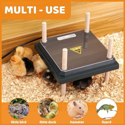 Longhzuo Chicken Brooder Plate for Chicks, Temperature Range 90°F-104°F, Adjustable Heights Chicken Heater, Heat Plate for 15 Chicks (10" X10")