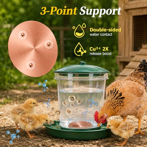 Copper Disc for Chicken Water Purification, 99.99% Pure Copper Disk, Helps Keep Water Cleaner, Fits Chicken Waterers, Chicken Water Feeders & Bird Baths
