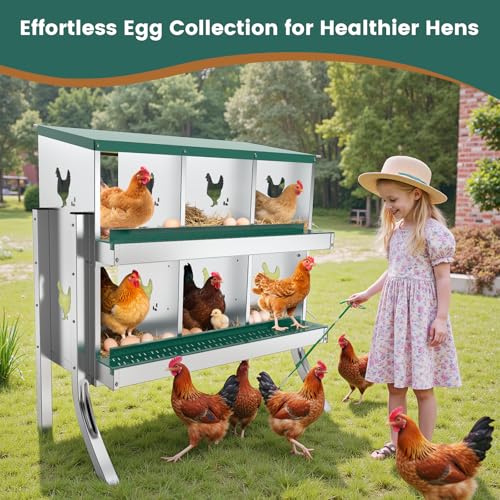 6 Compartment Chicken Nesting Box with Elevated Metal Legs Heavy | Protect Eggs Under Lid; Support Poultry Nesting; Slide Tray For Cleaning; Improve Nest Cleanliness; Metal Poultry Nest Box - color: Green&Silver