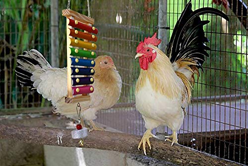 Chicken Xylophone Toy for Hens Suspensible Wood Xylophone Toy with 8 Metal Keys Chicken Coop Pecking Toy with Grinding Stone (Rainbow Color)