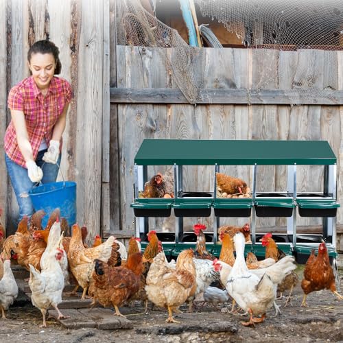 Nesting Boxes for Chickens - 10 Compartment Metal Roll Away Chicken Laying Boxes with Leg, Lid Cover, Protect Eggs, Easy Egg Collection, Chicken Nesting Box for Chicken Coop