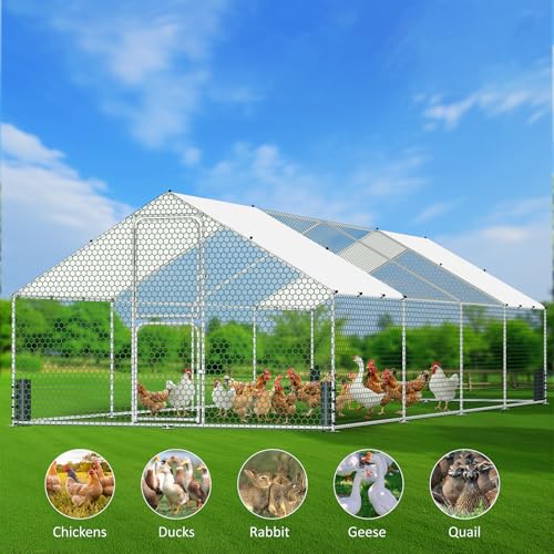 Large Metal Chicken Coop, Chicken Run with Feeding Door, Security Lock and Cover, Outdoor Walk-in Duck/Rabbit Cage Poultry Pen for Backyard, Farm, Yard (Silver - Spire Roof, 26.2 x 9.8 x 6.5 FT) - size: 314.9"L x 118.0"W x 78.7"H