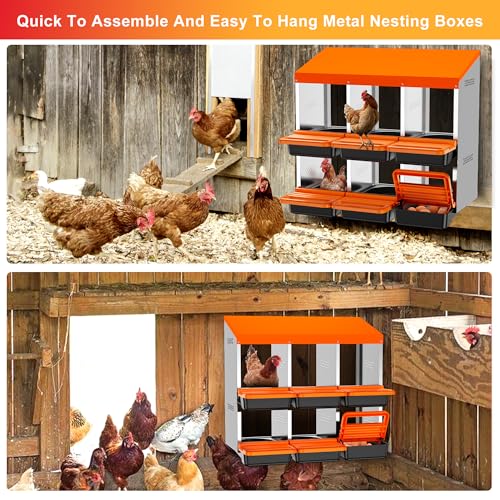 Chicken Nesting Boxes, Metal Roll Away Nest Box for Chickens Laying Egg with Lid Cover to Protect Eggs (6 Holes Orange) - size: 6 Holes