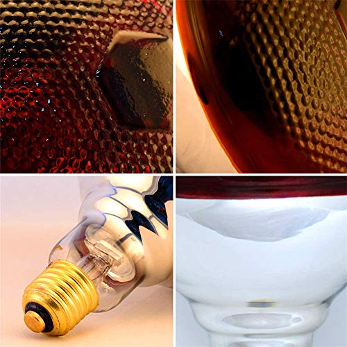 2 Pack 250W Red Heat Lamp Infrared Bulbs PAR38 Glass Lamp Bulb for Food Service, Brooder Bulb, Chicks, Pet, Bathroom, Light Therapy Use E26 Base, Flood Light Heat Lamp. - size: STD-250W