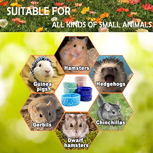 kathson 2 Pcs Hamster Food Bowl Guinea Pig Ceramic Water Bowl Small Animal Feeding Dish for Dwarf Hamster Gerbil Syrian Ferret Hedgehog Chinchilla Bunny (Blue)… - color: Blue