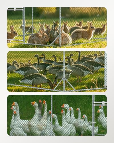Large Metal Chicken Coop with Run, 6.3FT Walk-in Chicken Run for Yard with Waterproof & Anti-UV Cover, Spire Roof Outdoor Poultry Cage for Chickens Ducks Rabbits Backyard Farm