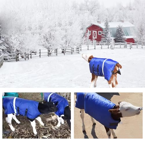Calf Blanket Livestock Waterproof Warm Goat Blankets with Reflective Strips and Fasten Tape Windproof 3 Layers Thickened Calf Coat Vest for Winter Farm Livestock Supplies