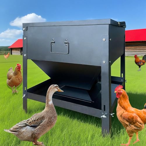 80 lb Automatic Chicken Feeder, Adjustable Height Poultry Set | Metal build, Latch closure, Carry handle, Grain storage, Ducks, Turkeys, Backyard coop, Farm use