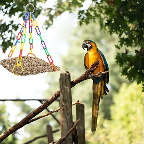 4pcs Parrot Swing Chicken Coop Accessories Large Chicken Coop Woven Parrot Activity Bird Toys Cage Bite s Foraging Wall Toy Abs to Climb Training Rack