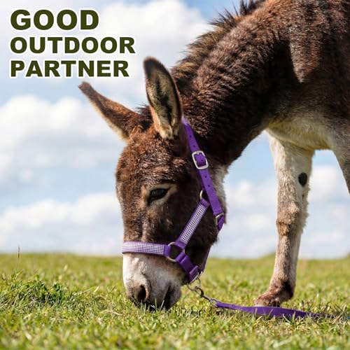 1 Set Miniature Donkey Halter with Lead Ropes, Cute and Stylish Adjustable Nylon Head Collar Set for Miniature Donkeys (Purple) - color: Purple