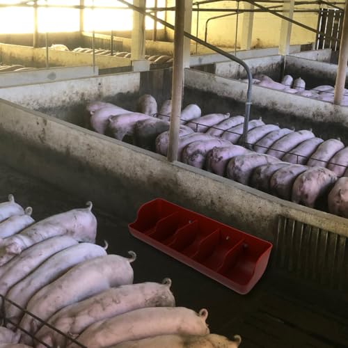 POPETPOP Hanging Fence Feeders Poultry Trough: 2Pcs Chicken Feeder Feed Trough Pig Feeding Container for Chicken Duck Goat Pig Poultry Livestock 5-Compartment - color: 2PCS