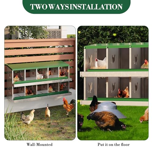 Chicken Nesting Box,10 Holes Galvanized Steel Metal Chicken Laying Box with Automatic Roll-Away Egg Collection System & Removable Tray,Wall Mount Nesting Boxes - color: Green, size: 10 Holes