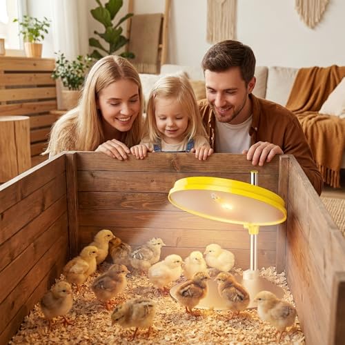 IVJ Chick Brooder Heating Plate with LED Light, 45W Adjustable Temperature Brooder Plate for 15-20 Baby Chicks, Digital Display Heating Plate for Chicks