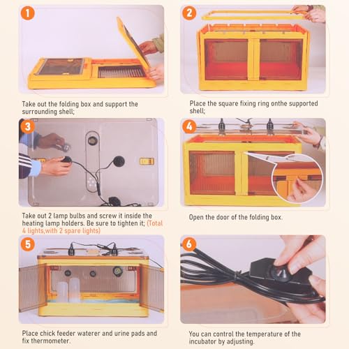 Chicken Brooder Box for Chicks Starter Kit, Large Chicken Brooder Heater Warms up to 30 Chicks, Poultry Breeding Box Suitable for Chick Duckling Parrot Lizard (26" L x 18" W x 14" H) - size: 26"L x 18"W x 14"H