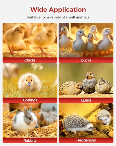 Brooder Box for Chick, Large Brooder for 15 Chicks, Breathable Mesh Ventilation, Waterproof Removable Bottom Mat,Foldable, Pop-up,No Assembly Required