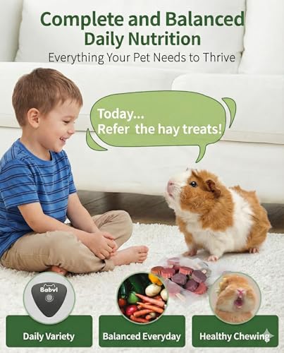 Hay Spinner Chew Toy with Treats,4Flavor Hay Cakes,Pet Dental Health Toys Cage Hanging Toy for Rabbits, Guinea Pigs,Chinchillas (Black)