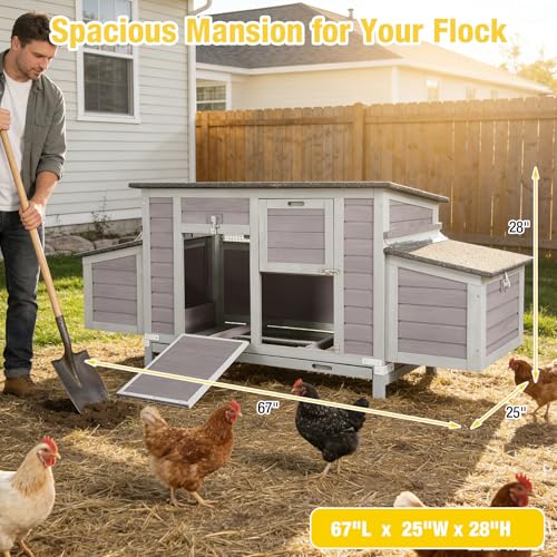 Aivituvin Large Wooden Chicken Coop, Double Nesting Boxes, Waterproof Asphalt Roof, Stainless Steel Hardware, Pull-Out Tray, Secure Poultry House for 2–4 Chickens - color: Grey, size: 67.0"L x 25.0"W x 28.0"H