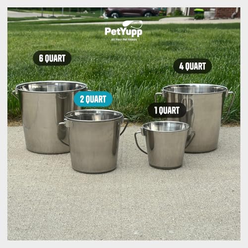 0.5 Gallon Heavy Duty Stainless Steel Bucket - Rust-Resistant Metal Bucket for Feeding & Watering Pets, Livestock & Cleaning - Perfect for Crates, Kennels, Cages & Hang on Fences - 2 Quart - size: 2 Quarts