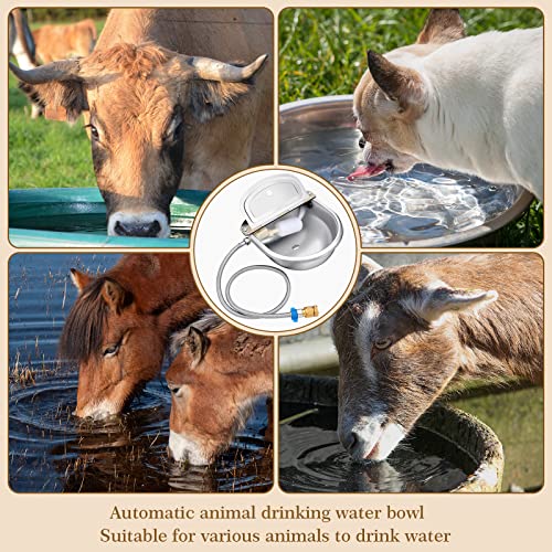 Bokon 2 Sets Automatic Animal Drinking Water Bowl, 304 Stainless Steel Waterer for Dog Cattle Goat Pig, Livestock Water Trough Dispenser with Pipe Hose, 4 Float Valves, Quick Connecter, Expansion Bolt