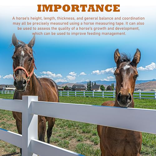 Horse Measuring Stick, Horse Height Pole, Accurately Measure The Height of Horse, Measurable (18 Hands or Less) Horses