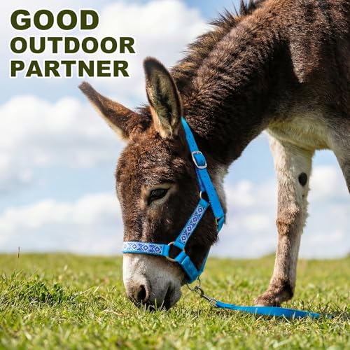 1 Set Miniature Donkey Halter with Lead Ropes, Cute and Stylish Adjustable Nylon Head Collar Set for Miniature Donkeys (Lake Blue) - color: Lake Blue