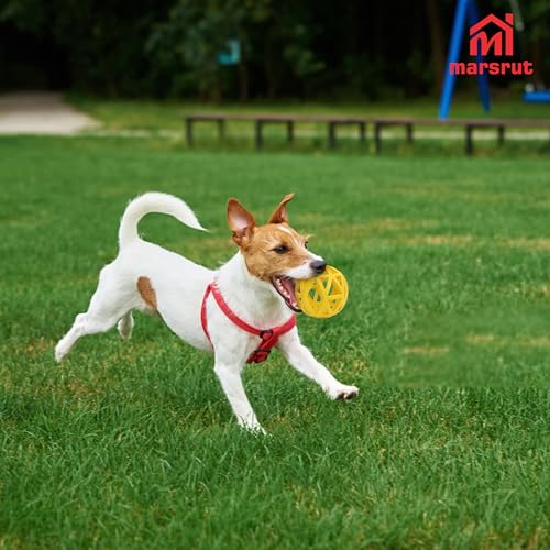 Hollow Dog Ball, Rubber Bite Resistant Pet Toys, 4.92" Interactive Roller Cage with Holes for Chewing Teeth Grinding Aggressive Chewers Treat Inside for Large Medium Breed Indoor Outdoor, Yellow