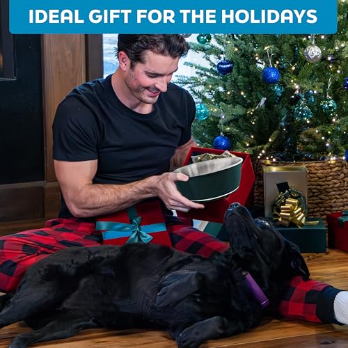 Master Pet Supply Stainless Steel Dog Bowls Set of 2 (32 Oz Each) with Non-Slip Rubber Base - Crimson Flame - Basic Dog Food Bowl Water & Food Bowls for Small Medium Large Dogs & Cats, Metal Dish - color: Crimson Flame, size: 4 Cups (32 oz) 2 Pack
