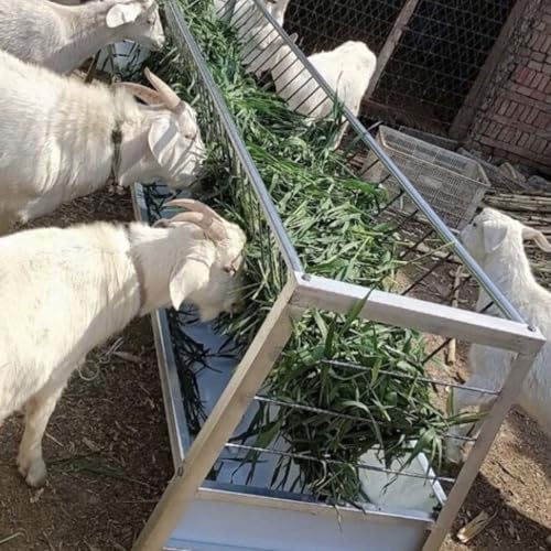 99 Gallon Goat Hay Feeder, 35.4" Height 65" Length Goat Feeder, Hay Rack Stainless Steel Hay and Grain in One, Hand-Powered Feeding Station for Goats, Sheep, Horses
