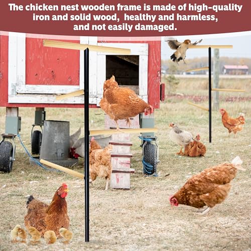 Extra Large Chicken Perch,Wooden Chicken Toys with Metal Ground Plug, Outdoor Birds Training Platform, Chicken Coop Accessories for Poultry Rooster Chicks Large Bird Chicks Parrot