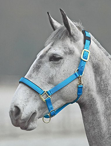 Shires Topaz Leather Breakaway Nylon Headcollar - color: Blue, size: X-Small Pony