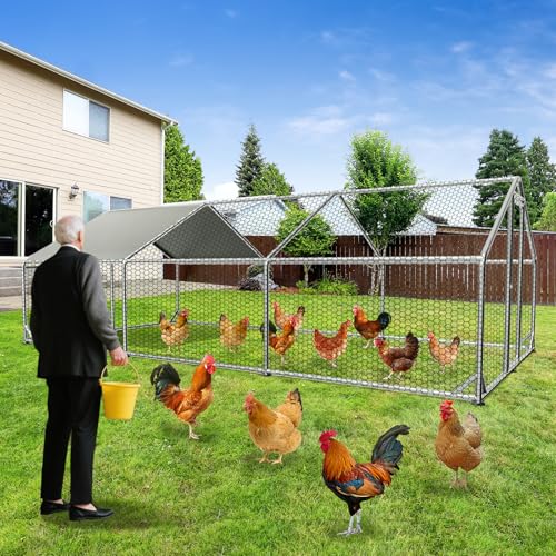 Large Chicken Coops for 20/30/50 Chickens,Outdoor Metal Walkin Poultry Cag with Cover Lockable Doors,Ducks Coop and Other Small Animals for Yard/Farm/Ranch (19.72'L x 9.88'W x 6.59'H) - size: 19.72'L x 9.88'W x 6.59'H