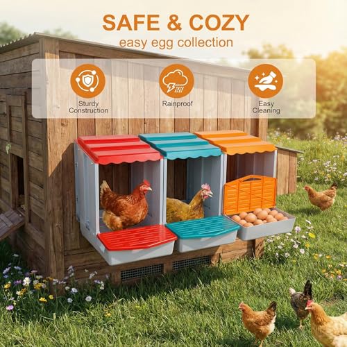 Chicken Nesting Boxes for Chickens, 3-Hole Modular & Detachable Roll-Away Egg Tray, Connectable up to 3 Units, Chicken Coop Accessory for Backyard & Farms