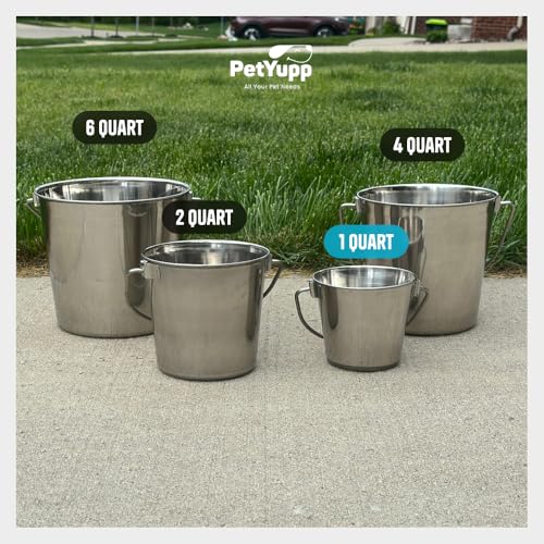 Heavy Duty Stainless Steel Bucket, 1 Quart – Durable Small Metal Bucket for Feeding, Watering Pets & Cleaning – Perfect for Kennels, Critter Crates, Cages and Hanging on Fences - size: 1 Quart