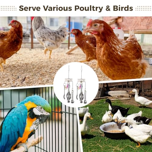 Chicken Coop Enrichment: 2 Hanging Bird Toys with Metal Spoons, Foraging Fun, Colorful Poultry
